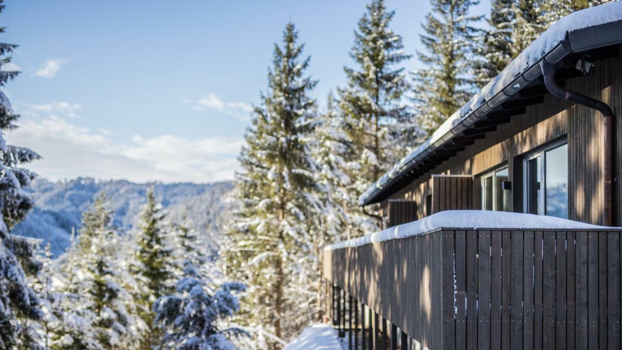 Апартаменты Bienenkunde Lunz Лунц-ам-Зе Экстерьер фото